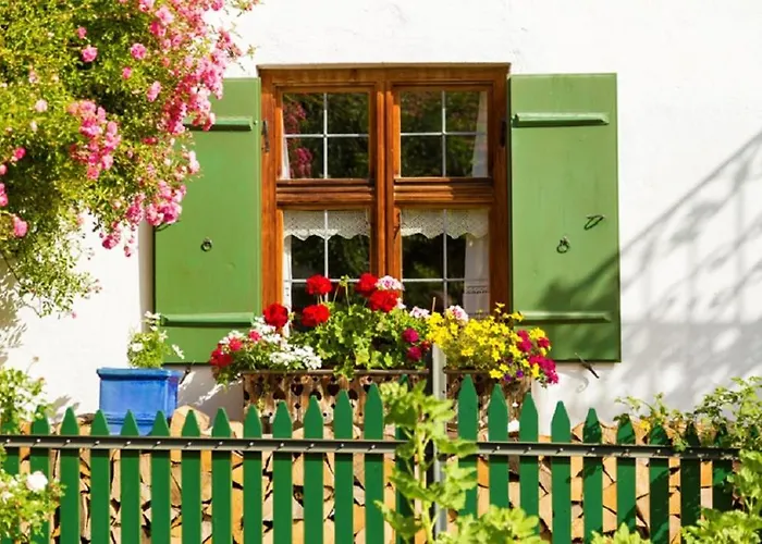 Gschwand * أونتر أمركاو